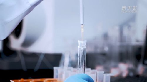 從實(shí)驗(yàn)室到高原鹽湖 解碼“吸附力”創(chuàng)新密碼